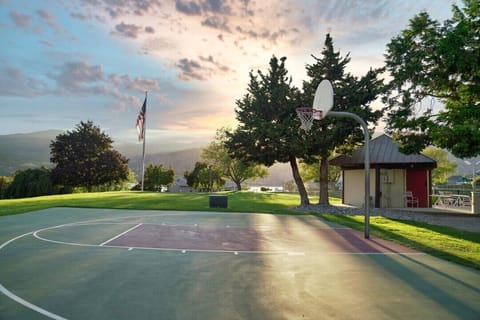 Sport court