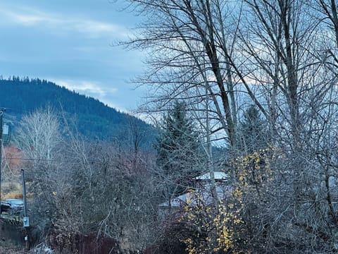 Another Mountain View