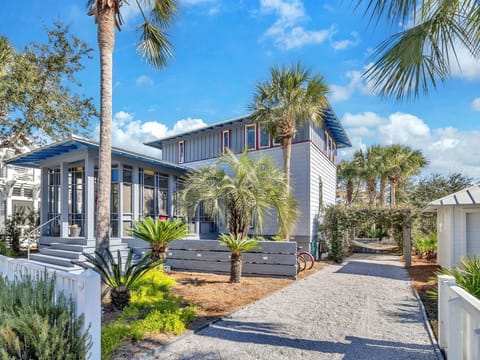 Modern coastal retreat surrounded by tropical palm trees and lush landscaping in a peaceful residential setting.