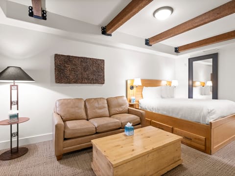Main Living Area / Queen Bed / Queen Sofa Bed