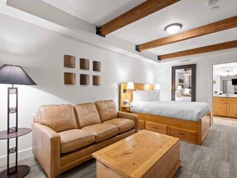 Queen Bed / Queen Sofa Bed