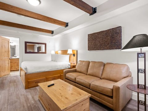 Queen Sofa Bed / Queen Bed