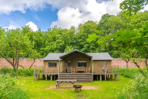 Kite - Exton Park at Lantern and Larks