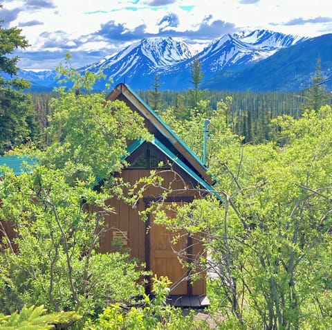 A rustic cabin with a million dollar view!