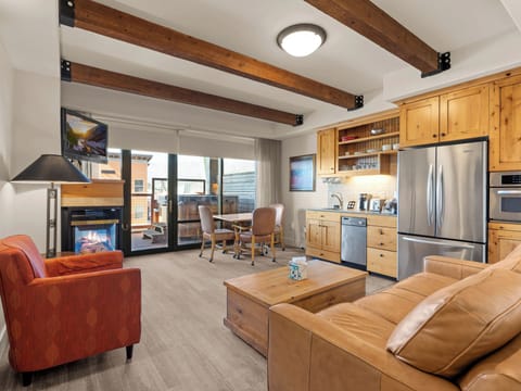 Kitchenette / Living Area / Queen Sleep Sofa