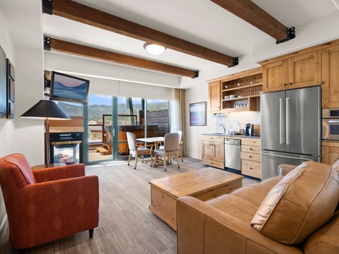 Living Area / Sleeper Sofa / Kitchen