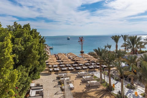 On the beach, free beach cabanas, 3 beach bars