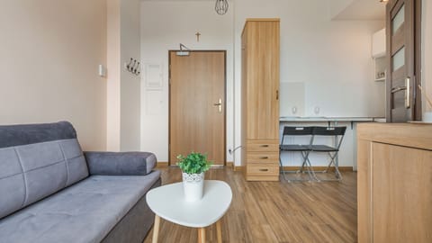 Studio (16) | Living area