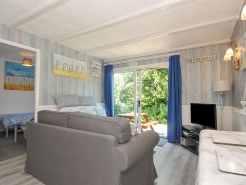 Fireplace, DVD player
