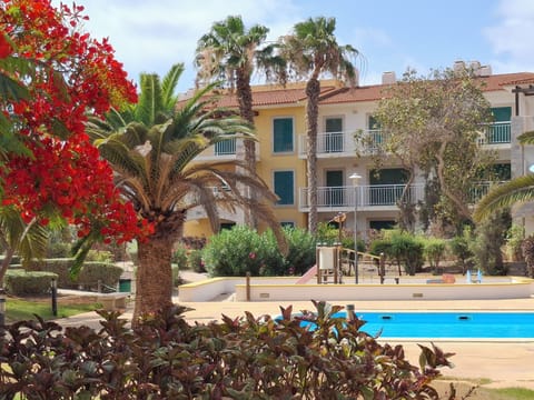 Atriplex - Vila Verde - Sal - Cape Verde