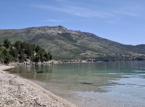 Apartment (One Bedroom Apartment with Garden Vie) | Aerial view