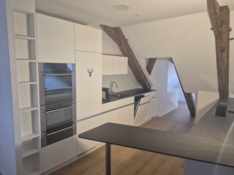 Deluxe Studio, City View | Private kitchen