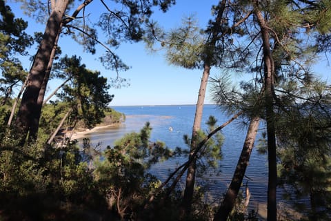 Try your hand at water sports on the largest freshwater lake in France, Lac de Carcans-Hourtin, located just a short distance away. 