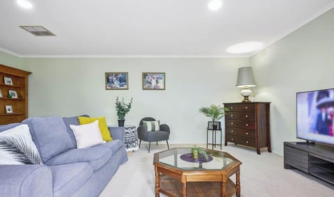 Comfortable sofa and TV