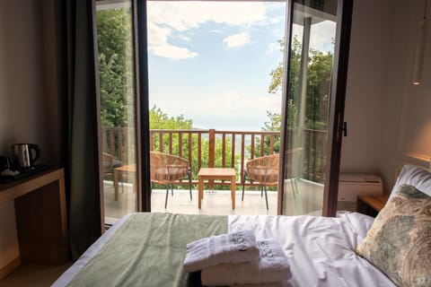 Superior Double Room | View from room