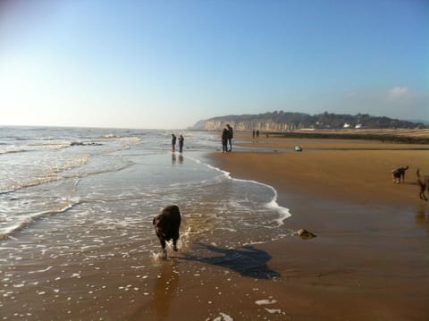 Sought after Pett Level Beach