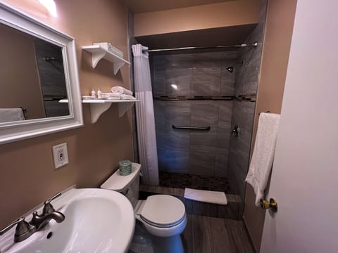 Basic Room, 1 Queen Bed, Courtyard View, Ground Floor | Bathroom | Hair dryer, towels, soap, shampoo