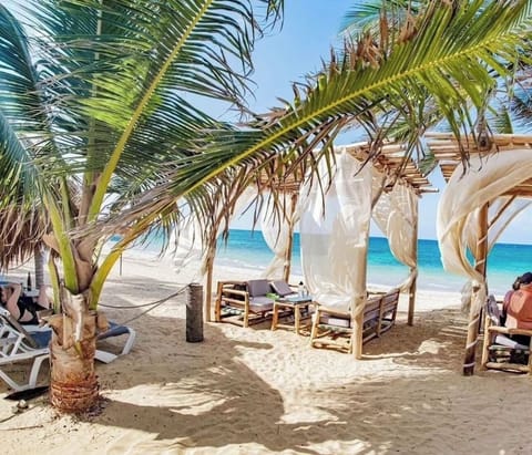 Private beach, white sand, free beach shuttle, beach bar