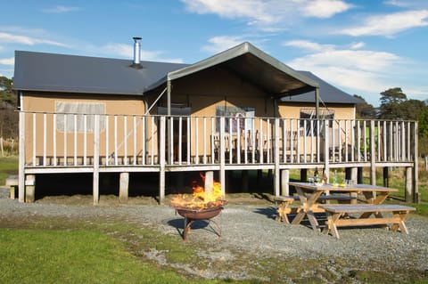 Lantern and Larks - Redshank Bleasdale
