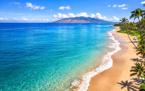 Villa, 1 Bedroom (Ocean Partial View, Sleeps 2(WKV-45C)) | Beach | On the beach, beach towels