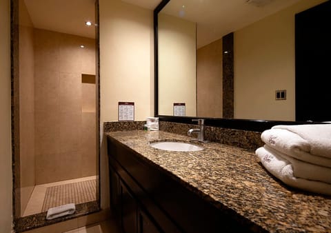 Deluxe Room | Bathroom | Shower, rainfall showerhead, free toiletries, hair dryer