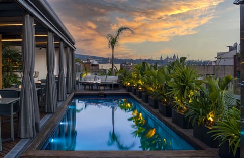 Outdoor pool, sun loungers