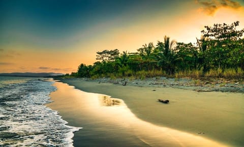 Beach nearby, white sand