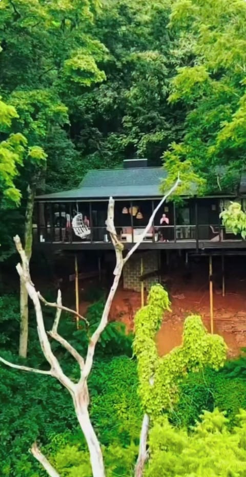 Riverstone: a luxury treehouse suspended above the River.