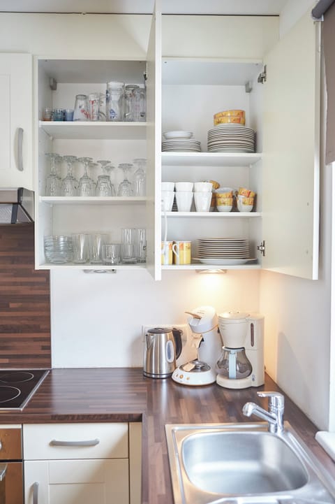 Comfort Apartment, 2 Bedrooms, Mountain View | Private kitchen | Coffee/tea maker, electric kettle, toaster, freezer