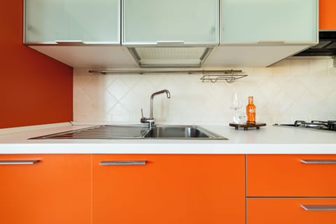 Superior Apartment, Mountain View | Private kitchen | Electric kettle