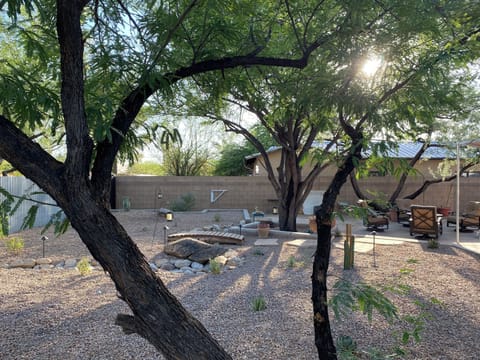 Backyard