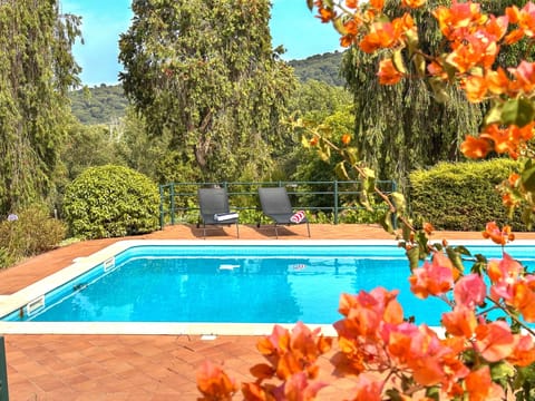 The pool