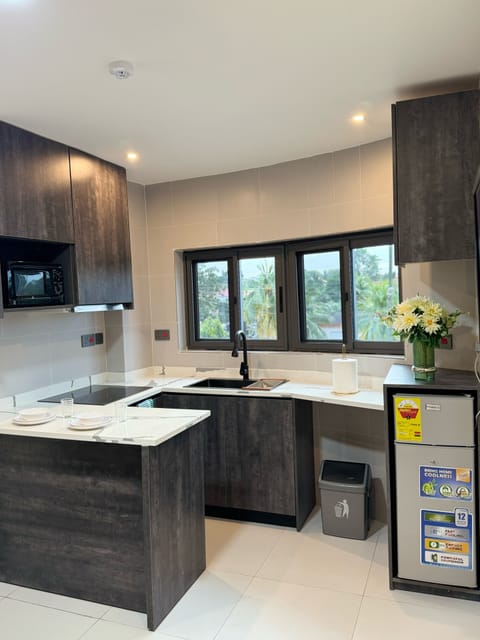 Deluxe Apartment, Air conditioning, Mountain View | Private kitchen