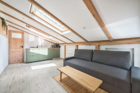 Comfort Studio Suite | Iron/ironing board, free WiFi