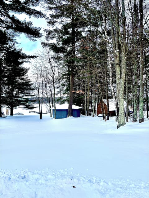 Winter view of the lawn down to the lake. Featuring our blue gazebo and dock.