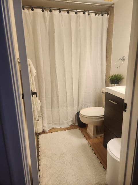 Guest bathroom