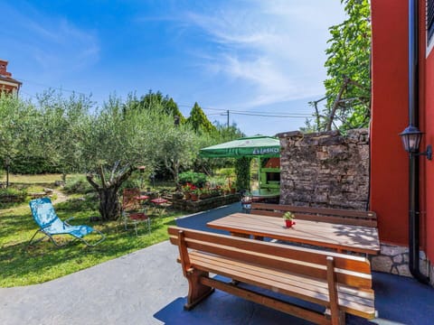Shrub, Garden, Yard, Flowerpot, Landscaping, Houseplant, Chair, Backyard, Outdoor Furniture, Hacienda