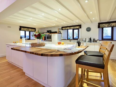 Furniture, Countertop, Interior Design, Kitchen, Flooring, Wood, Cabinetry, Ceiling, Kitchen Appliance, Lighting