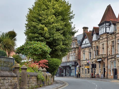 Deck, Shade, Hardwood, Outdoor Furniture, Balcony, Plank, Eco Hotel, Swimming Pool, Wood Flooring, Resort