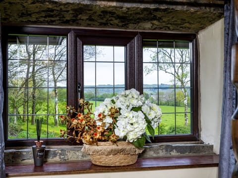 Deck, Shade, Hardwood, Outdoor Furniture, Balcony, Plank, Eco Hotel, Swimming Pool, Wood Flooring, Resort