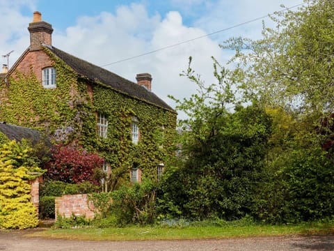 Deck, Shade, Hardwood, Outdoor Furniture, Balcony, Plank, Eco Hotel, Swimming Pool, Wood Flooring, Resort