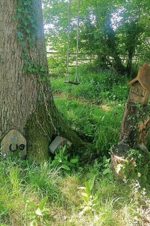 Deck, Shade, Hardwood, Outdoor Furniture, Balcony, Plank, Eco Hotel, Swimming Pool, Wood Flooring, Resort