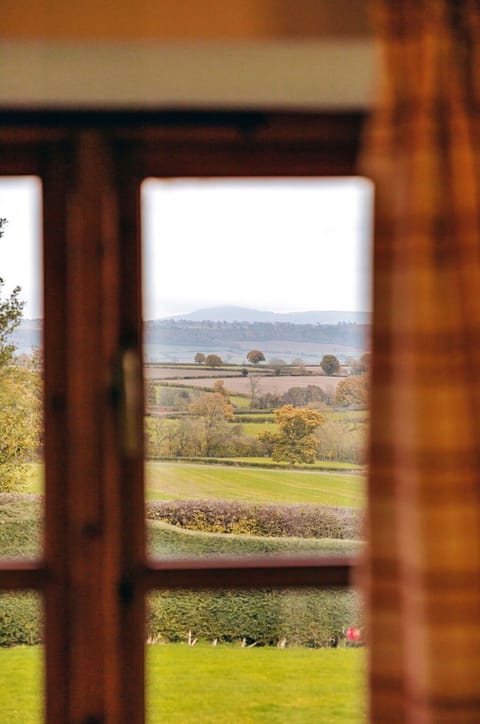 Deck, Shade, Hardwood, Outdoor Furniture, Balcony, Plank, Eco Hotel, Swimming Pool, Wood Flooring, Resort