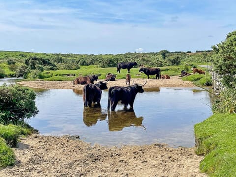 Water, Natural Landscape, Bank, Ecoregion, Watercourse, Rural Area, Lake