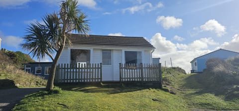 D21 Treville Front View