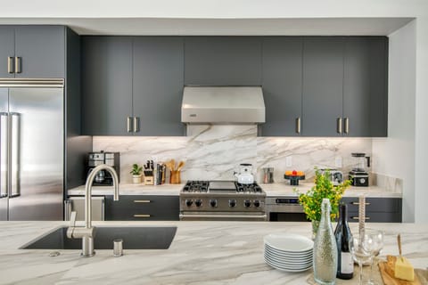 Gourmet kitchen. (Polo Villa 16)