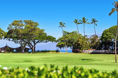 Kaanapali Golf Course, Ocean View - Enjoy a leisurely stroll, 5+ minute walk to Kaanapali Beach and Beachfront clubhouse!