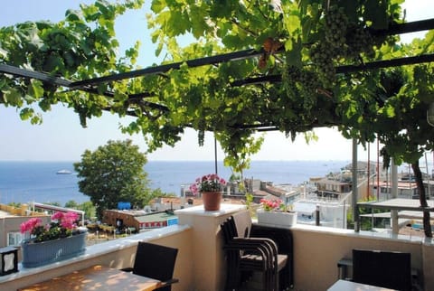 Rooftop terrace