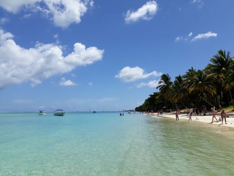 Apartment, 1 Bedroom, Balcony | Beach