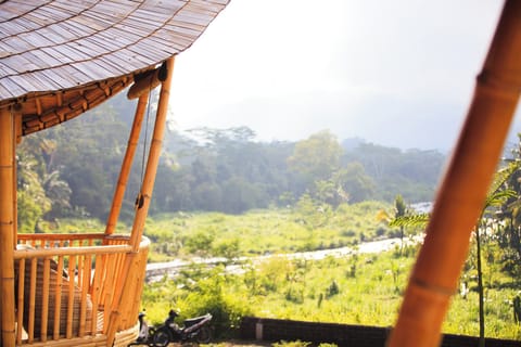 Panoramic Villa, River View | View from room